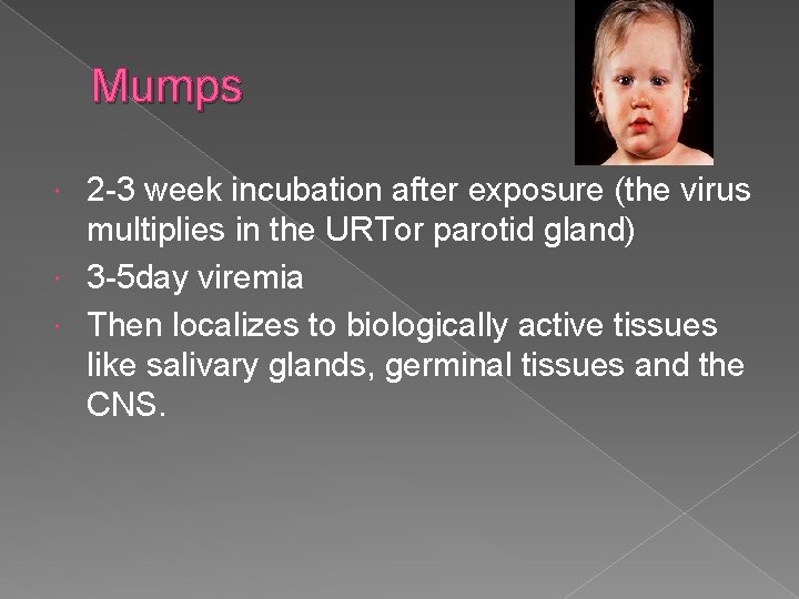 Mumps 2 -3 week incubation after exposure (the virus multiplies in the URTor parotid Mumps 2 -3 week incubation after exposure (the virus multiplies in the URTor parotid