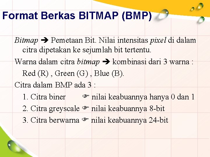 Format Berkas BITMAP (BMP) Bitmap Pemetaan Bit. Nilai intensitas pixel di dalam citra dipetakan