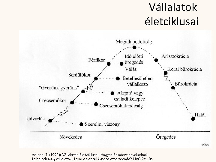 Vállalatok életciklusai Adizes, I. (1992): Vállalatok életciklusai. Hogyan és miért növekednek és halnak meg