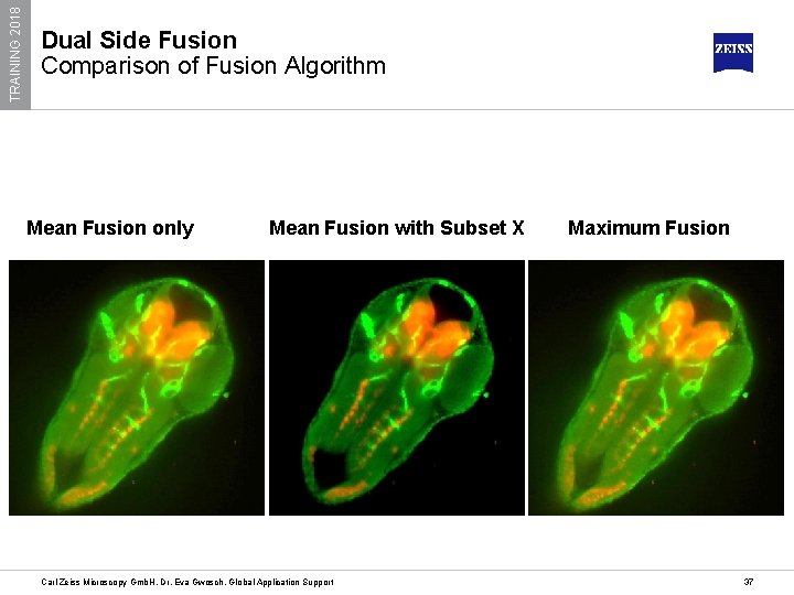 TRAINING 2018 Dual Side Fusion Comparison of Fusion Algorithm Mean Fusion only Mean Fusion