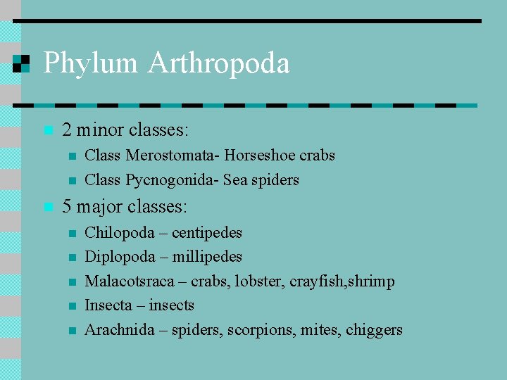 Phylum Arthropoda n 2 minor classes: n n n Class Merostomata- Horseshoe crabs Class