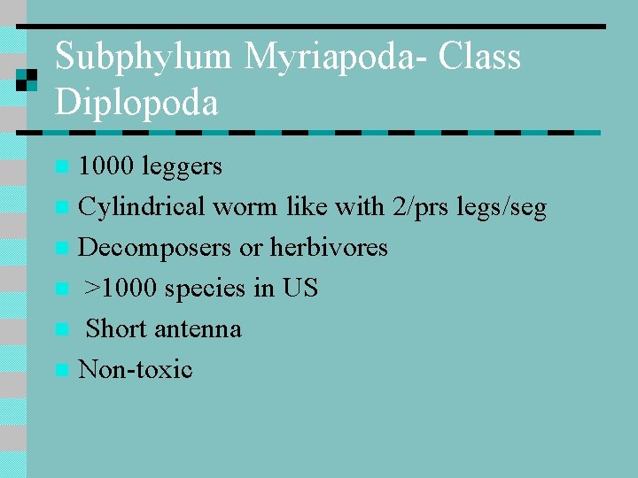 Subphylum Myriapoda- Class Diplopoda 1000 leggers n Cylindrical worm like with 2/prs legs/seg n