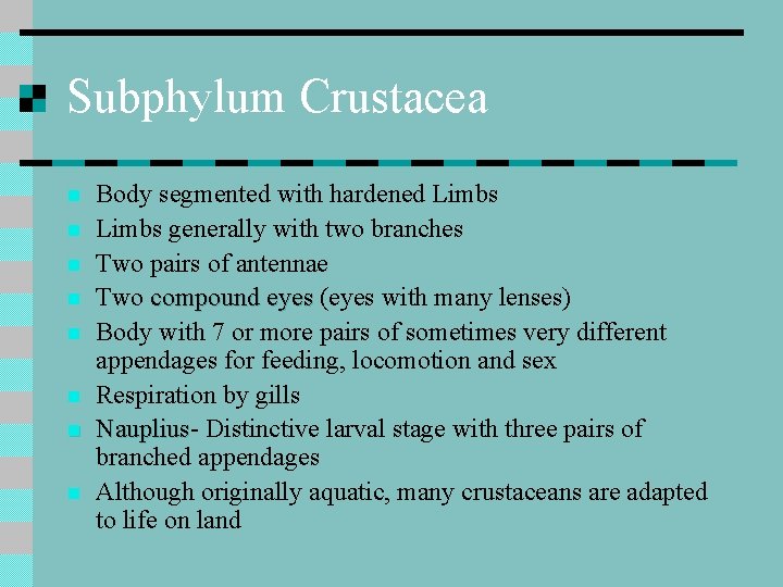 Subphylum Crustacea n n n n Body segmented with hardened Limbs generally with two