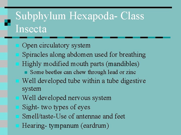 Subphylum Hexapoda- Class Insecta n n n Open circulatory system Spiracles along abdomen used