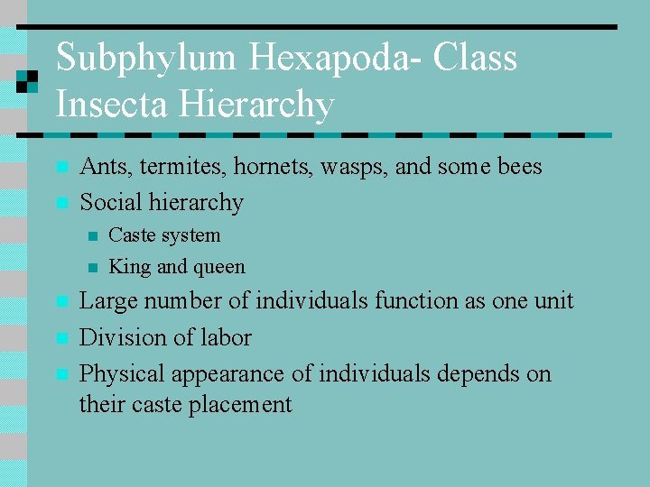 Subphylum Hexapoda- Class Insecta Hierarchy n n Ants, termites, hornets, wasps, and some bees