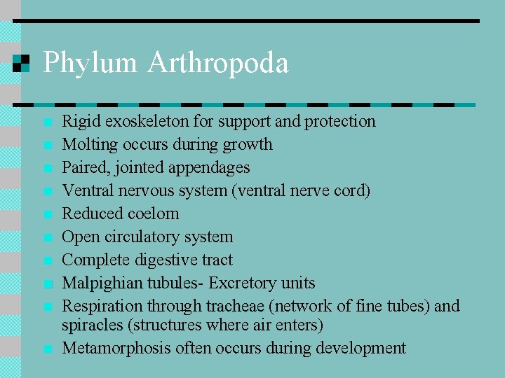 Phylum Arthropoda n n n n n Rigid exoskeleton for support and protection Molting