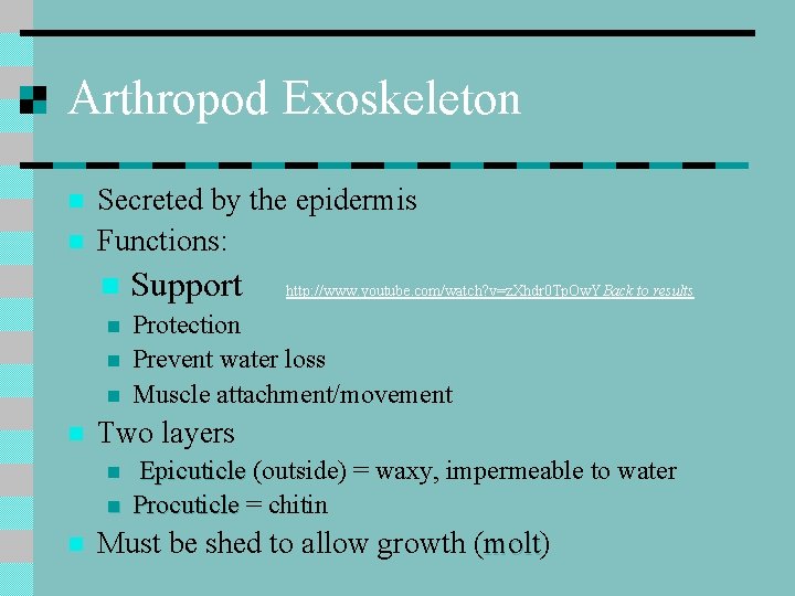 Arthropod Exoskeleton n n Secreted by the epidermis Functions: n n n http: //www.