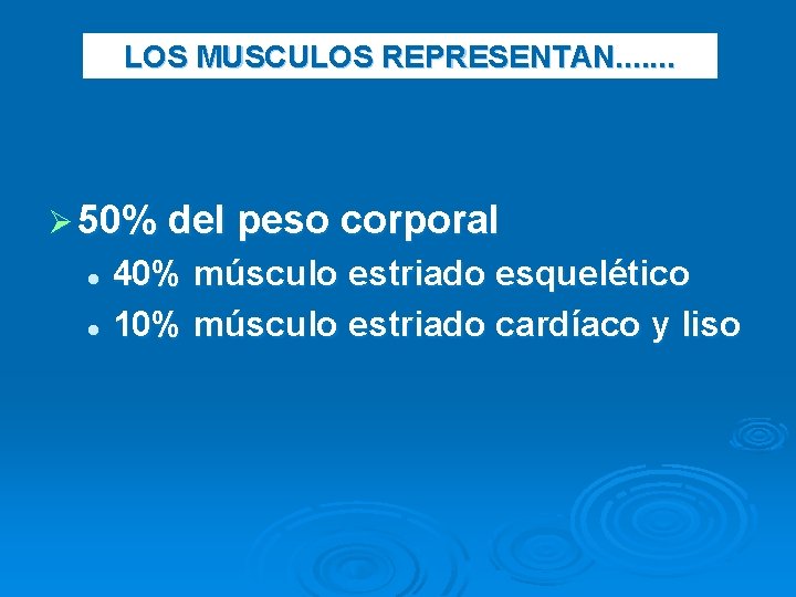 LOS MUSCULOS REPRESENTAN. . . . Ø 50% del peso corporal 40% músculo estriado