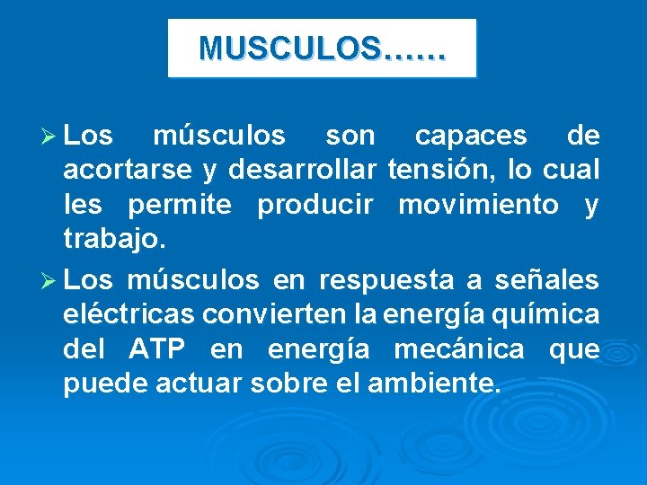 MUSCULOS…… Ø Los músculos son capaces de acortarse y desarrollar tensión, lo cual les