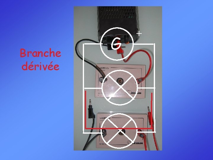 Branche dérivée G + 