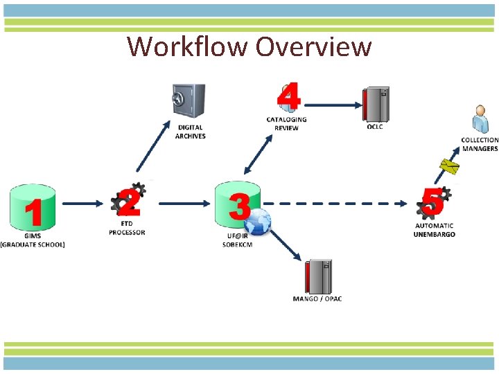 Workflow Overview 