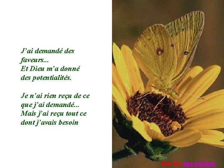 J’ai demandé des faveurs. . . Et Dieu m’a donné des potentialités. Je n’ai