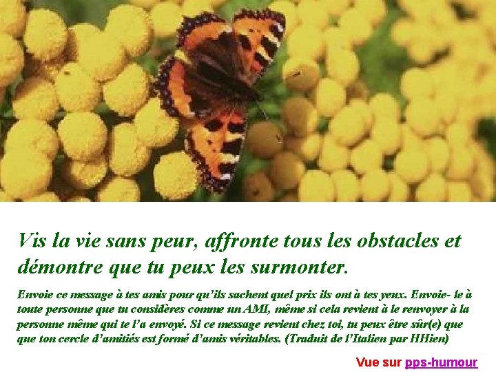 Vis la vie sans peur, affronte tous les obstacles et démontre que tu peux