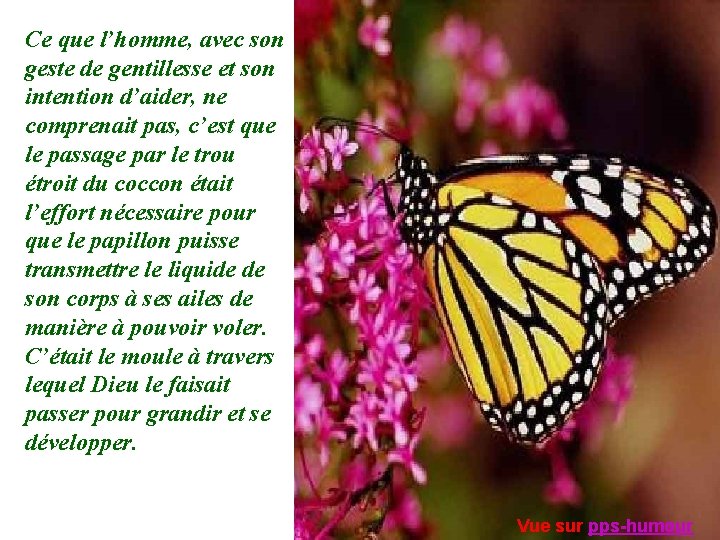 Ce que l’homme, avec son geste de gentillesse et son intention d’aider, ne comprenait