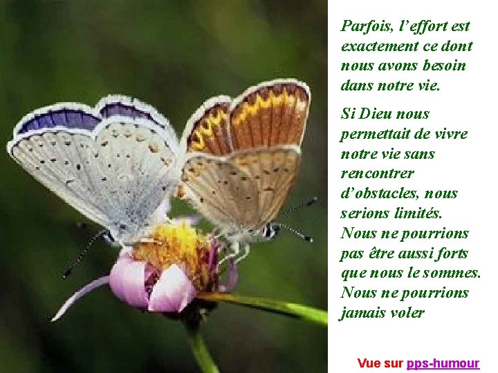 Parfois, l’effort est exactement ce dont nous avons besoin dans notre vie. Si Dieu