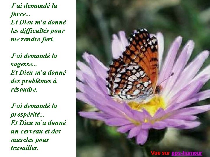 J’ai demandé la force. . . Et Dieu m’a donné les difficultés pour me