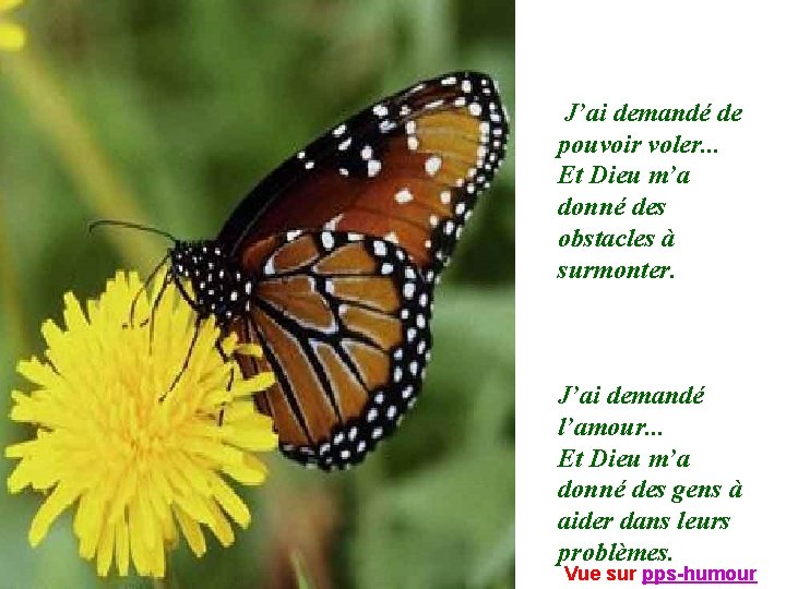 J’ai demandé de pouvoir voler. . . Et Dieu m’a donné des obstacles à