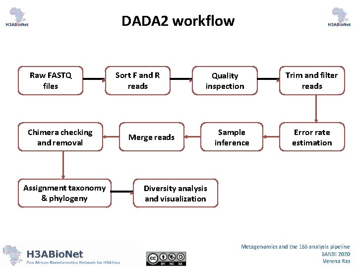 DADA 2 workflow Raw FASTQ files Chimera checking and removal Assignment taxonomy & phylogeny DADA 2 workflow Raw FASTQ files Chimera checking and removal Assignment taxonomy & phylogeny