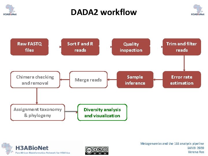 DADA 2 workflow Raw FASTQ files Chimera checking and removal Assignment taxonomy & phylogeny DADA 2 workflow Raw FASTQ files Chimera checking and removal Assignment taxonomy & phylogeny