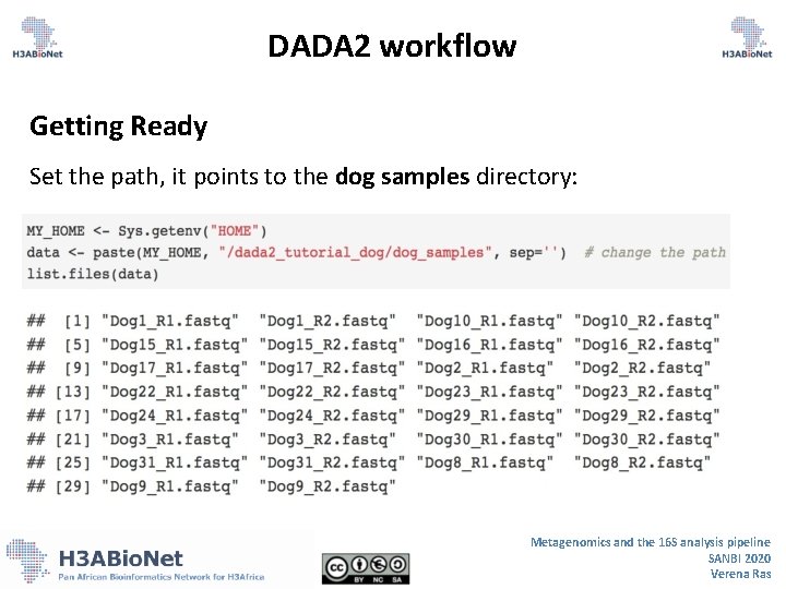 DADA 2 workflow Getting Ready Set the path, it points to the dog samples DADA 2 workflow Getting Ready Set the path, it points to the dog samples