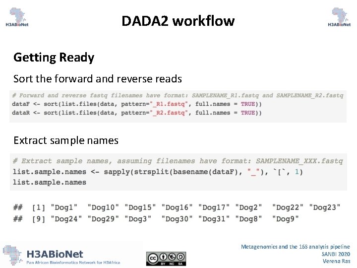 DADA 2 workflow Getting Ready Sort the forward and reverse reads Extract sample names DADA 2 workflow Getting Ready Sort the forward and reverse reads Extract sample names