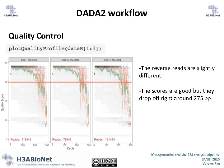 DADA 2 workflow Quality Control -The reverse reads are slightly different. -The scores are DADA 2 workflow Quality Control -The reverse reads are slightly different. -The scores are