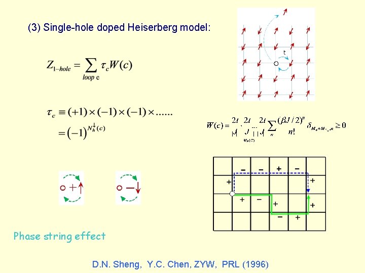 (3) Single-hole doped Heiserberg model: ＋ － Phase string effect D. N. Sheng, Y.