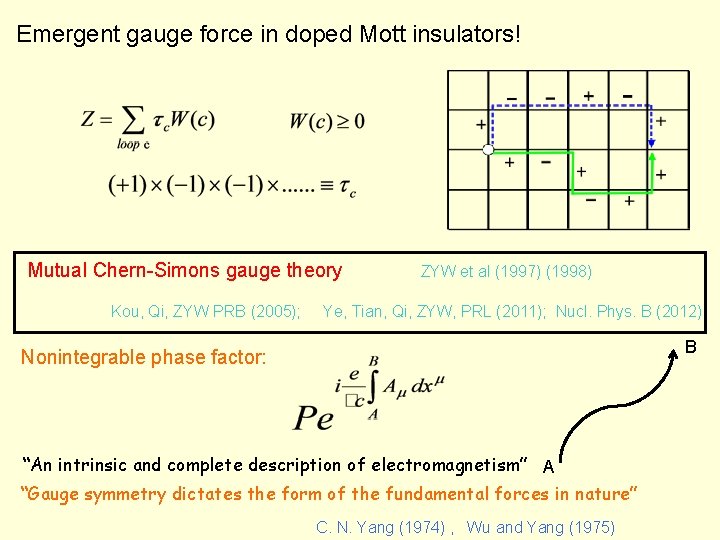 Emergent gauge force in doped Mott insulators! Mutual Chern-Simons gauge theory Kou, Qi, ZYW