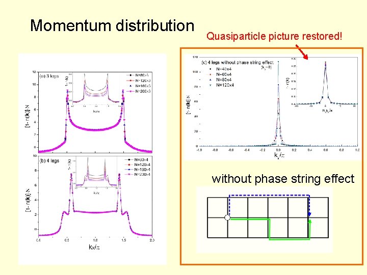 Momentum distribution Quasiparticle picture restored! without phase string effect 