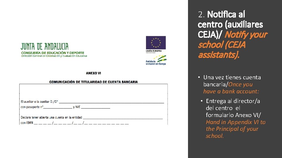 2. Notifica al centro (auxiliares CEJA)/ Notify your school (CEJA assistants). • Una vez
