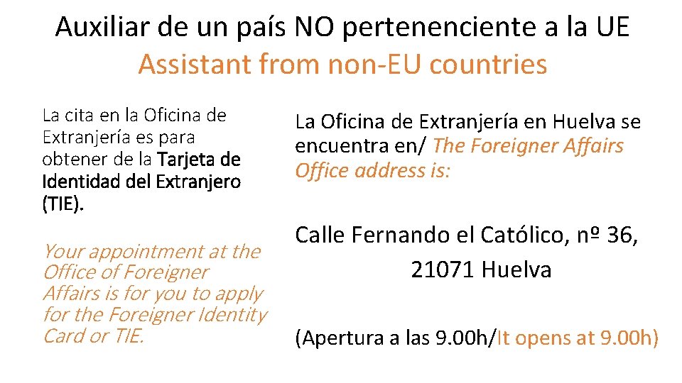 Auxiliar de un país NO pertenenciente a la UE Assistant from non-EU countries La