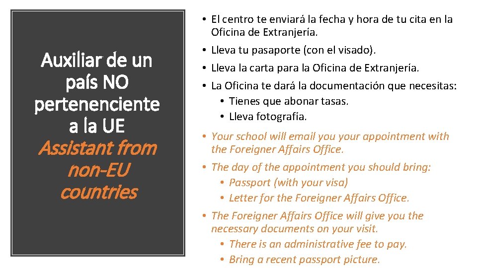 Auxiliar de un país NO pertenenciente a la UE Assistant from non-EU countries •