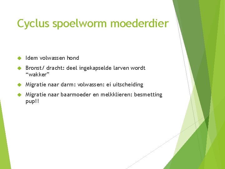 Cyclus spoelworm moederdier Idem volwassen hond Bronst/ dracht: deel ingekapselde larven wordt “wakker” Migratie Cyclus spoelworm moederdier Idem volwassen hond Bronst/ dracht: deel ingekapselde larven wordt “wakker” Migratie