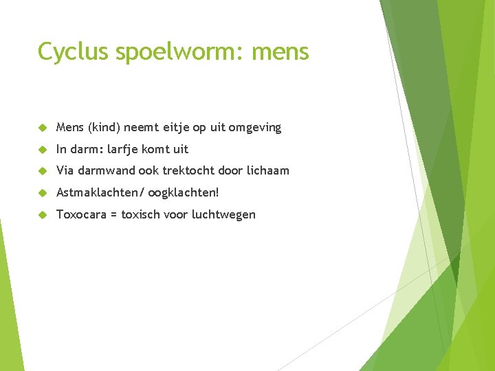 Cyclus spoelworm: mens Mens (kind) neemt eitje op uit omgeving In darm: larfje komt Cyclus spoelworm: mens Mens (kind) neemt eitje op uit omgeving In darm: larfje komt