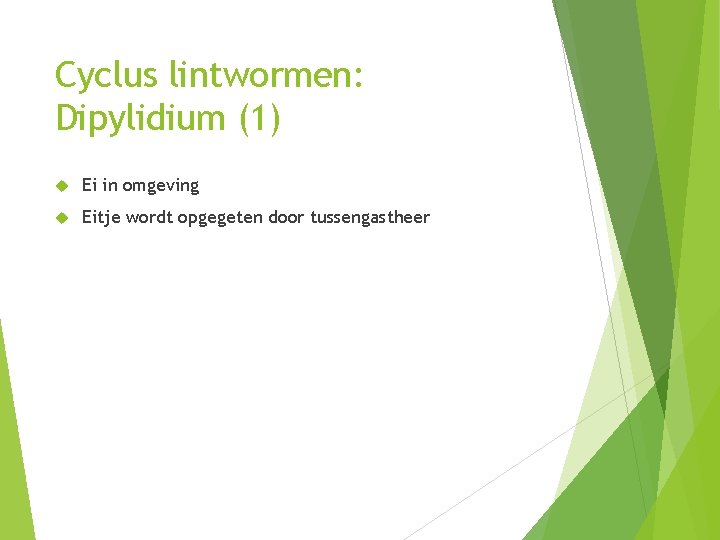 Cyclus lintwormen: Dipylidium (1) Ei in omgeving Eitje wordt opgegeten door tussengastheer Cyclus lintwormen: Dipylidium (1) Ei in omgeving Eitje wordt opgegeten door tussengastheer