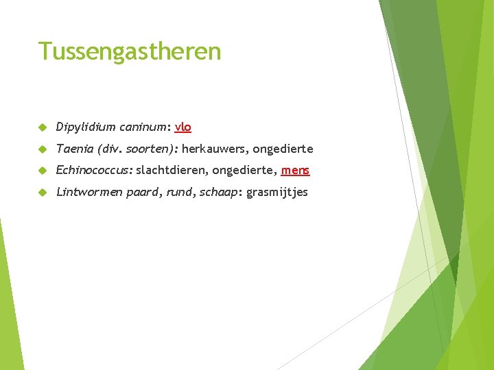 Tussengastheren Dipylidium caninum: vlo Taenia (div. soorten): herkauwers, ongedierte Echinococcus: slachtdieren, ongedierte, mens Lintwormen Tussengastheren Dipylidium caninum: vlo Taenia (div. soorten): herkauwers, ongedierte Echinococcus: slachtdieren, ongedierte, mens Lintwormen