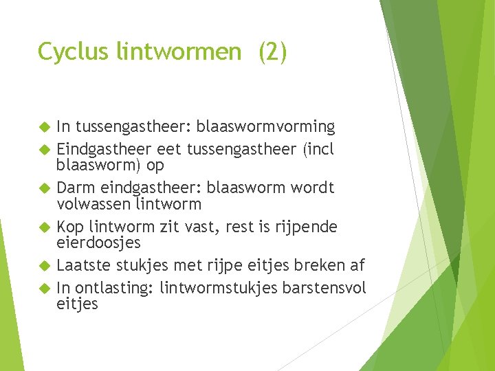 Cyclus lintwormen (2) In tussengastheer: blaaswormvorming Eindgastheer eet tussengastheer (incl blaasworm) op Darm eindgastheer: Cyclus lintwormen (2) In tussengastheer: blaaswormvorming Eindgastheer eet tussengastheer (incl blaasworm) op Darm eindgastheer: