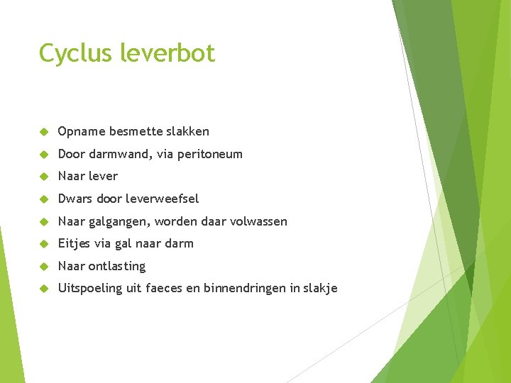 Cyclus leverbot Opname besmette slakken Door darmwand, via peritoneum Naar lever Dwars door leverweefsel Cyclus leverbot Opname besmette slakken Door darmwand, via peritoneum Naar lever Dwars door leverweefsel