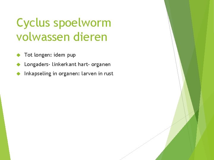 Cyclus spoelworm volwassen dieren Tot longen: idem pup Longaders- linkerkant hart- organen Inkapseling in Cyclus spoelworm volwassen dieren Tot longen: idem pup Longaders- linkerkant hart- organen Inkapseling in
