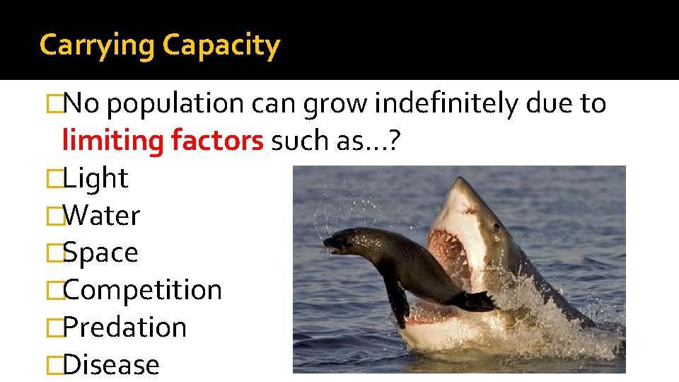 Carrying Capacity �No population can grow indefinitely due to limiting factors such as…? �Light