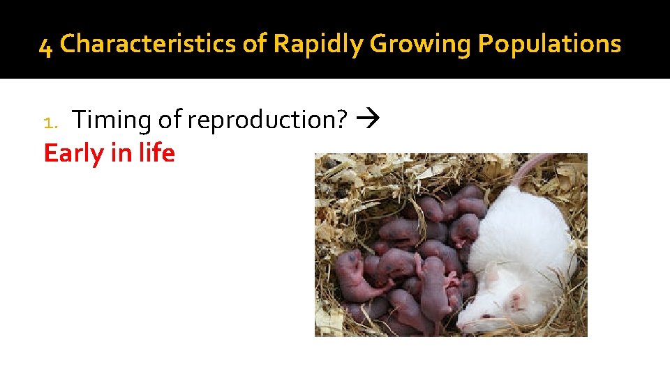 4 Characteristics of Rapidly Growing Populations Timing of reproduction? Early in life 1. 