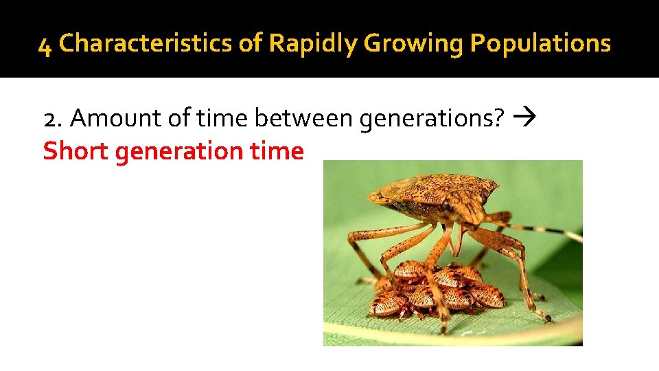 4 Characteristics of Rapidly Growing Populations 2. Amount of time between generations? Short generation