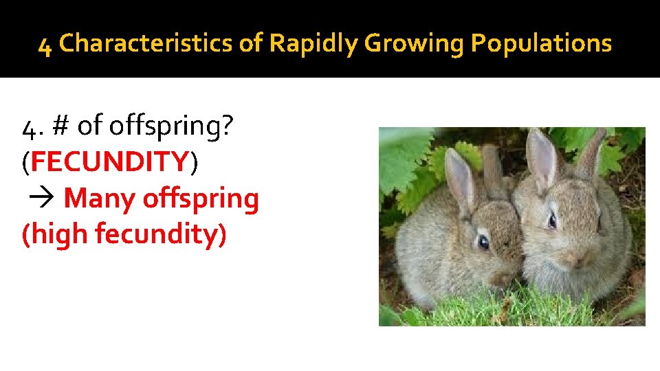 4 Characteristics of Rapidly Growing Populations 4. # of offspring? (FECUNDITY) Many offspring (high