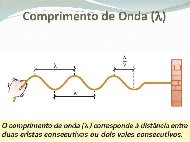 Comprimento de Onda ( ) 