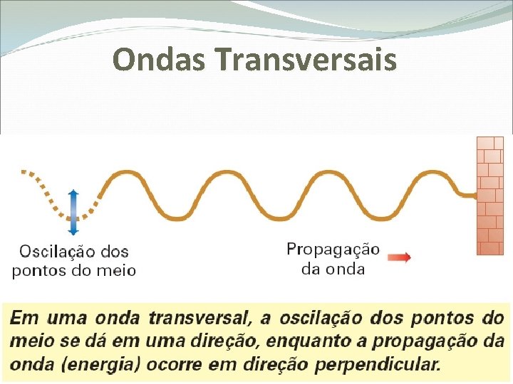 Ondas Transversais 