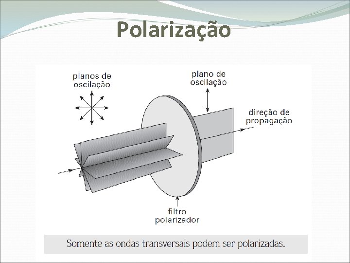 Polarização 