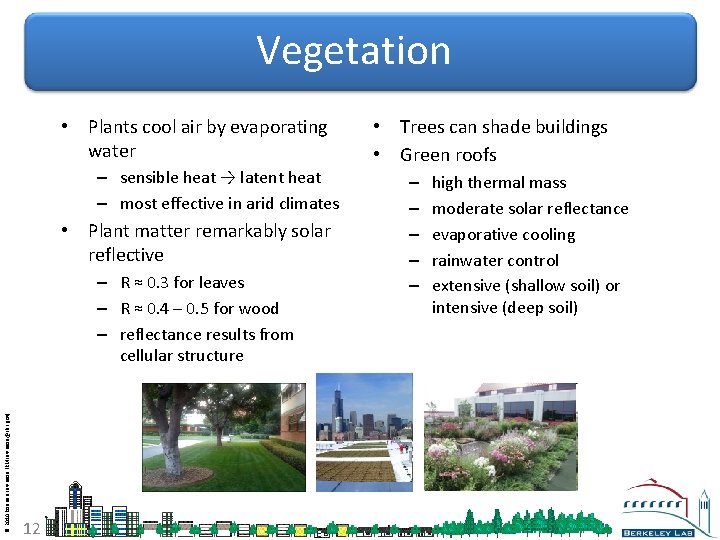 Vegetation • Plants cool air by evaporating water – sensible heat → latent heat