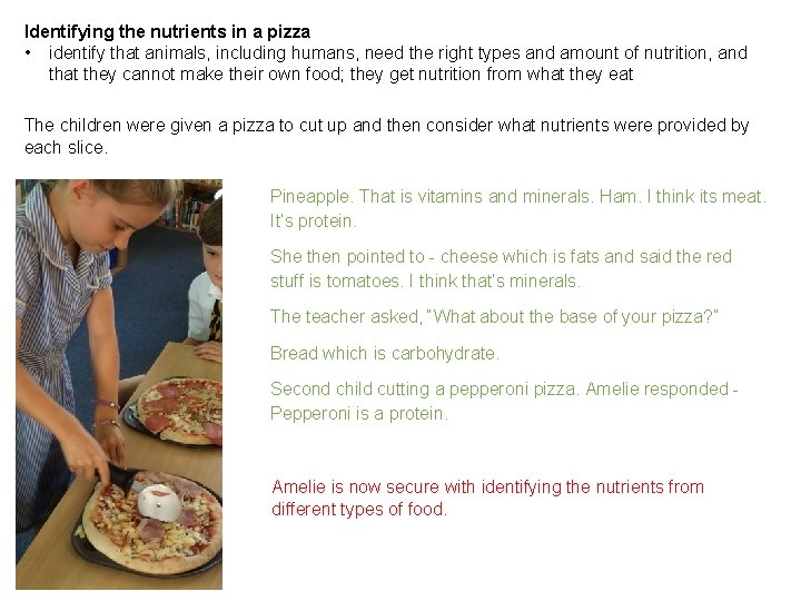 Identifying the nutrients in a pizza • identify that animals, including humans, need the