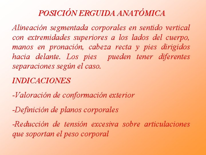POSICIÓN ERGUIDA ANATÓMICA Alineación segmentada corporales en sentido vertical con extremidades superiores a los POSICIÓN ERGUIDA ANATÓMICA Alineación segmentada corporales en sentido vertical con extremidades superiores a los
