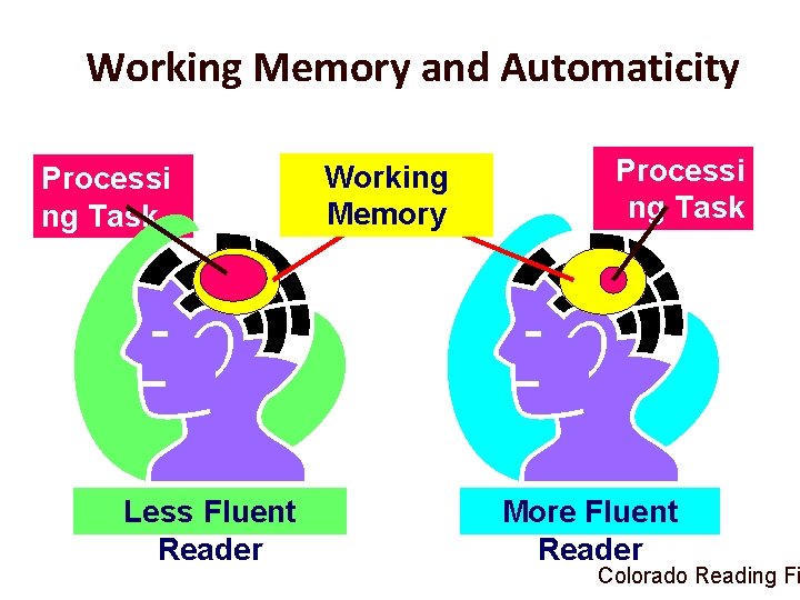 Working Memory and Automaticity Processi ng Task Less Fluent Reader Working Memory Processi ng